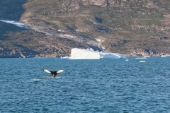 IMG_7675_DxO