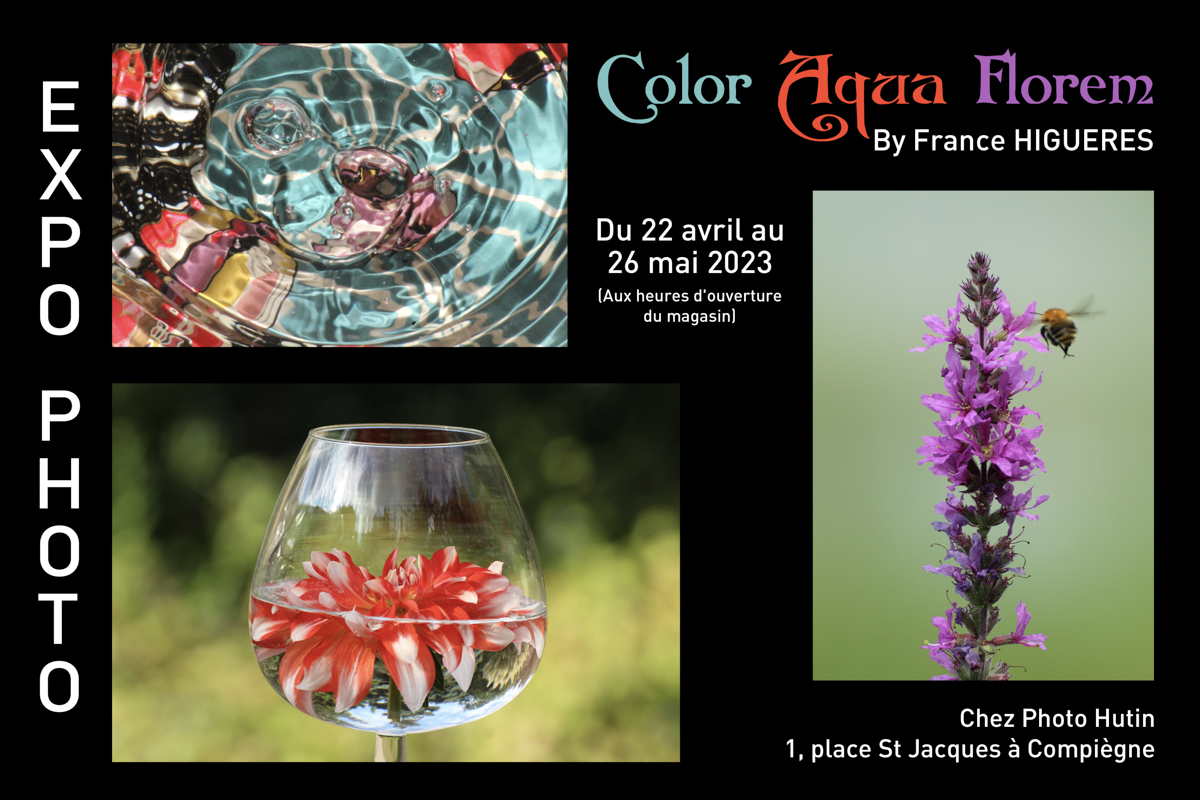 Color Aqua Florem